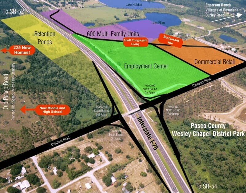 Wildcat Groves in Wesley Chapel