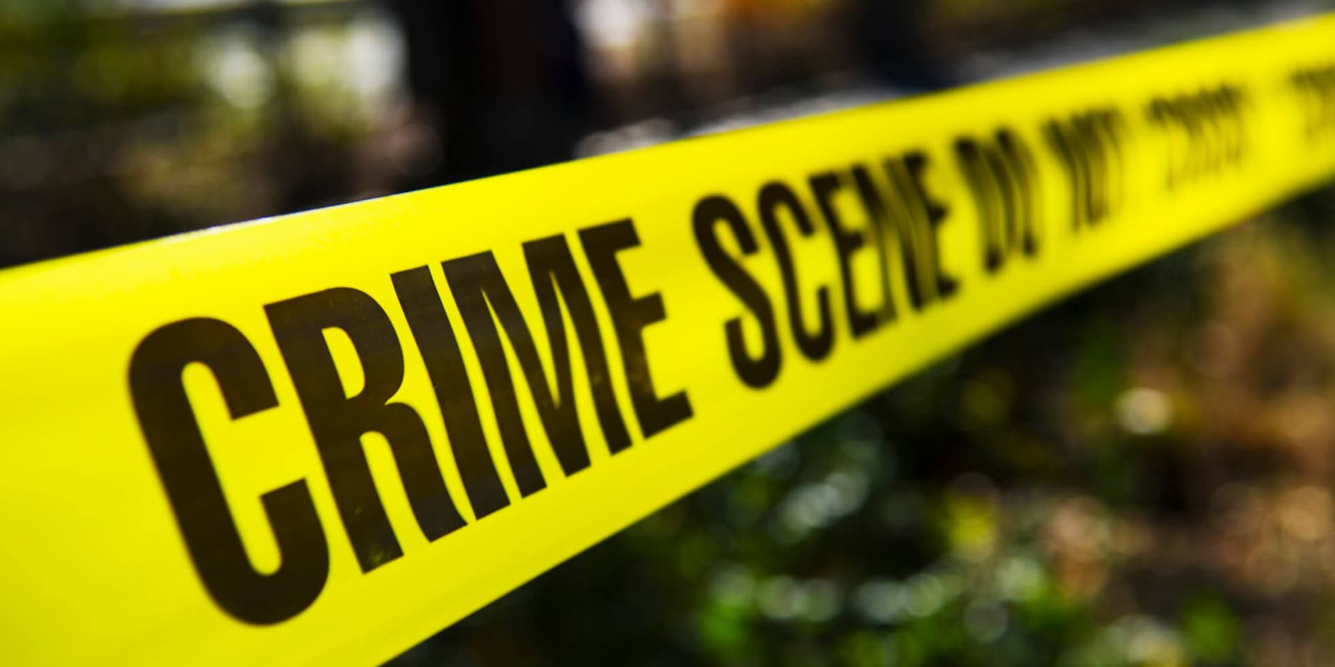 Crime Wave in Wesley Chapel Last Night