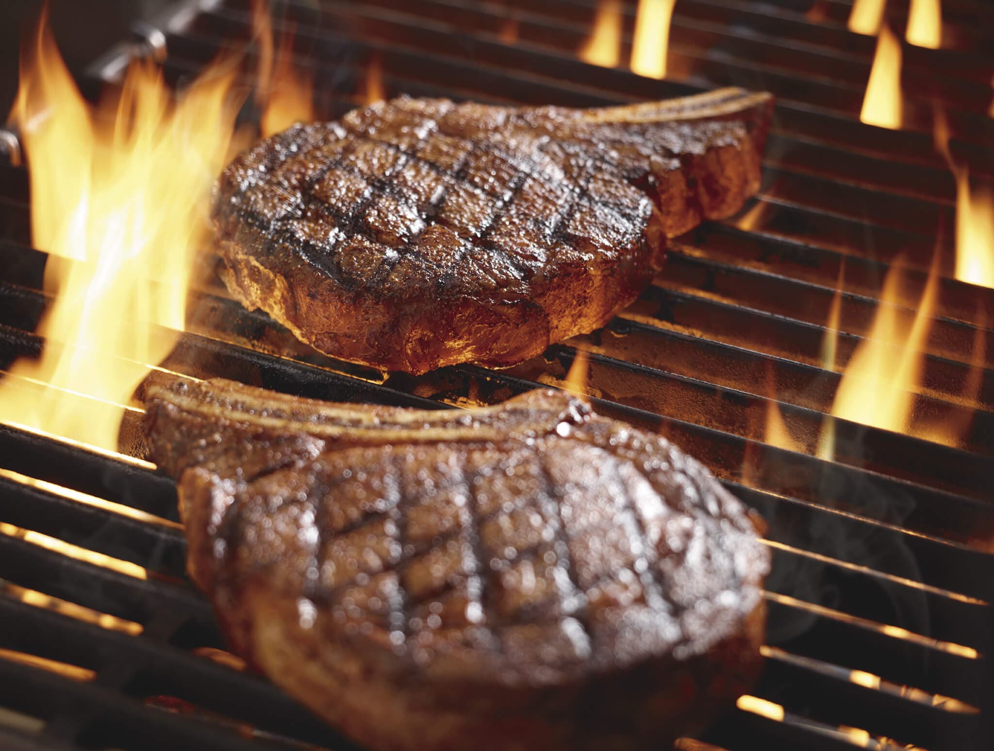 LongHorn Steakhouse to Open in Wesley Chapel on Nov. 14