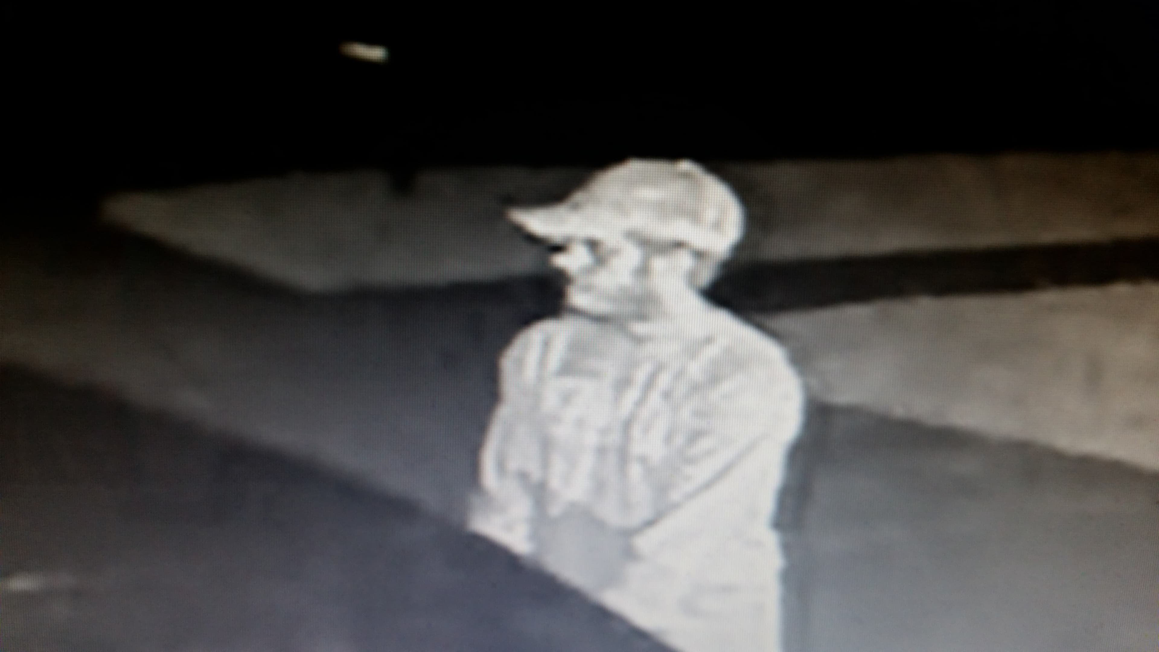Car Burglars target Seven Oaks in Wesley Chapel
