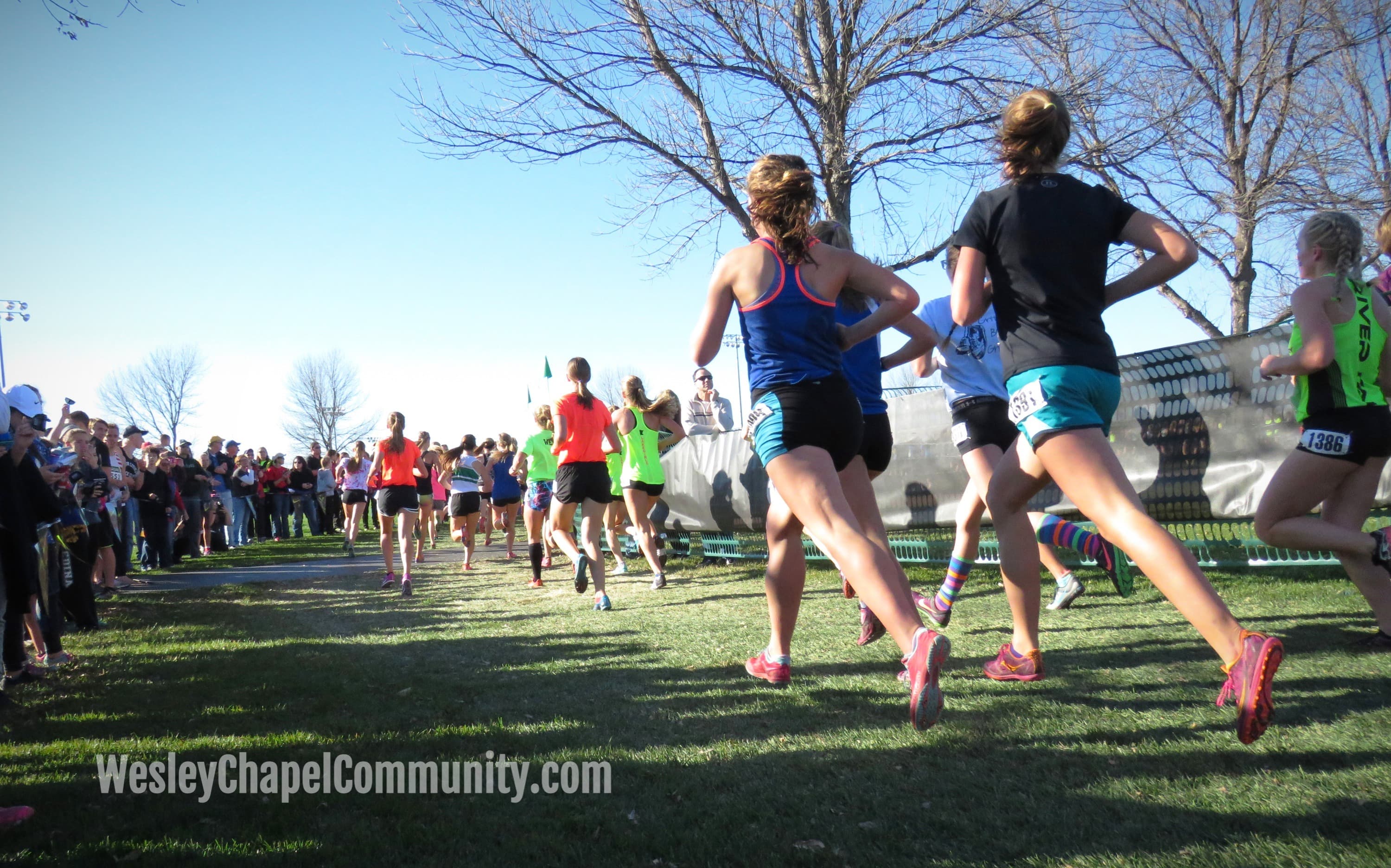 Upcoming Wesley Chapel Events to Help End Human Trafficking