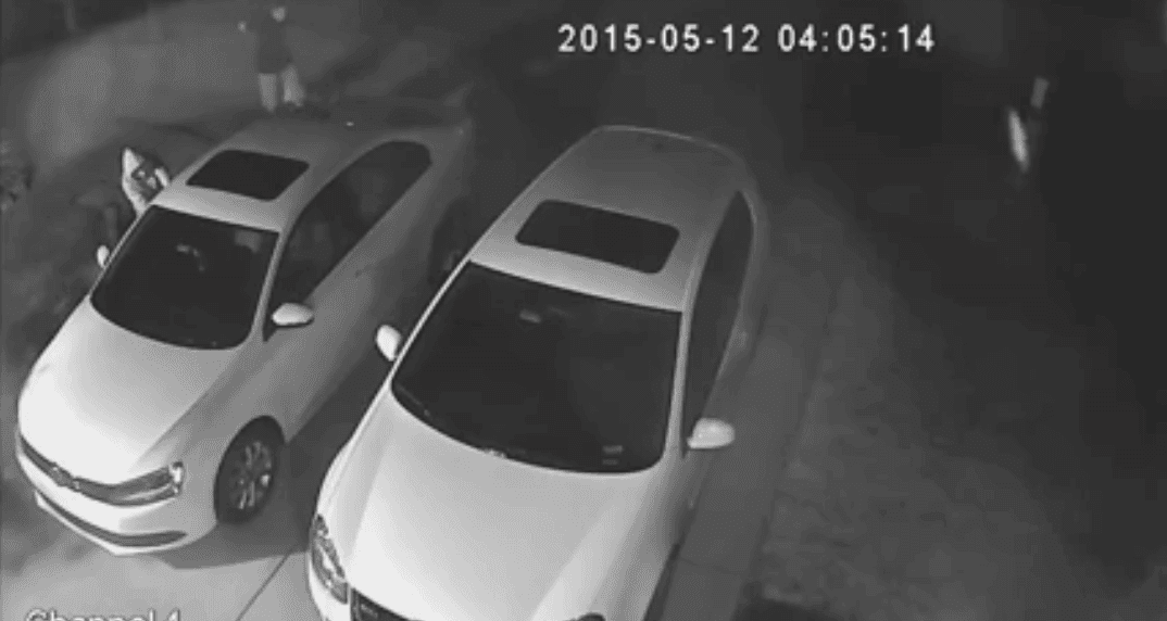 Wesley Chapel Teenage Burglars to be Released