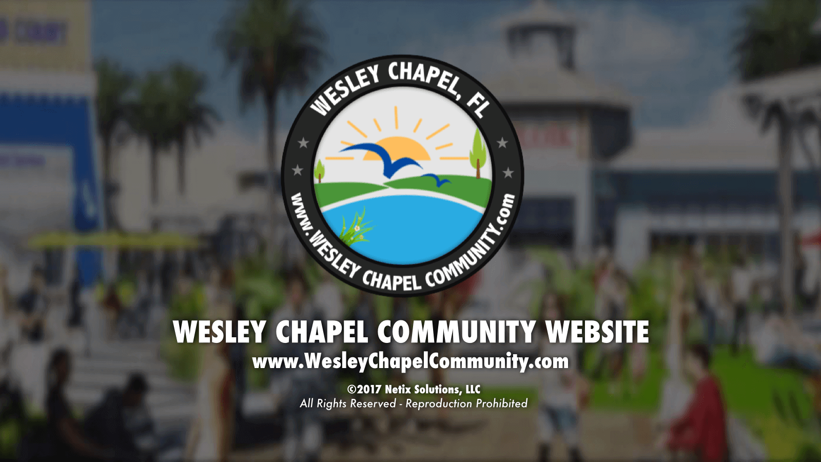 Wesley Chapel Community Website Gains 366,000+ views in 2017