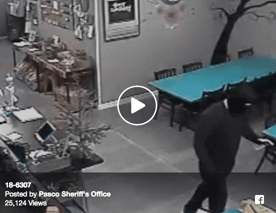 Wesley Chapel Serial Robber Strikes More Locations