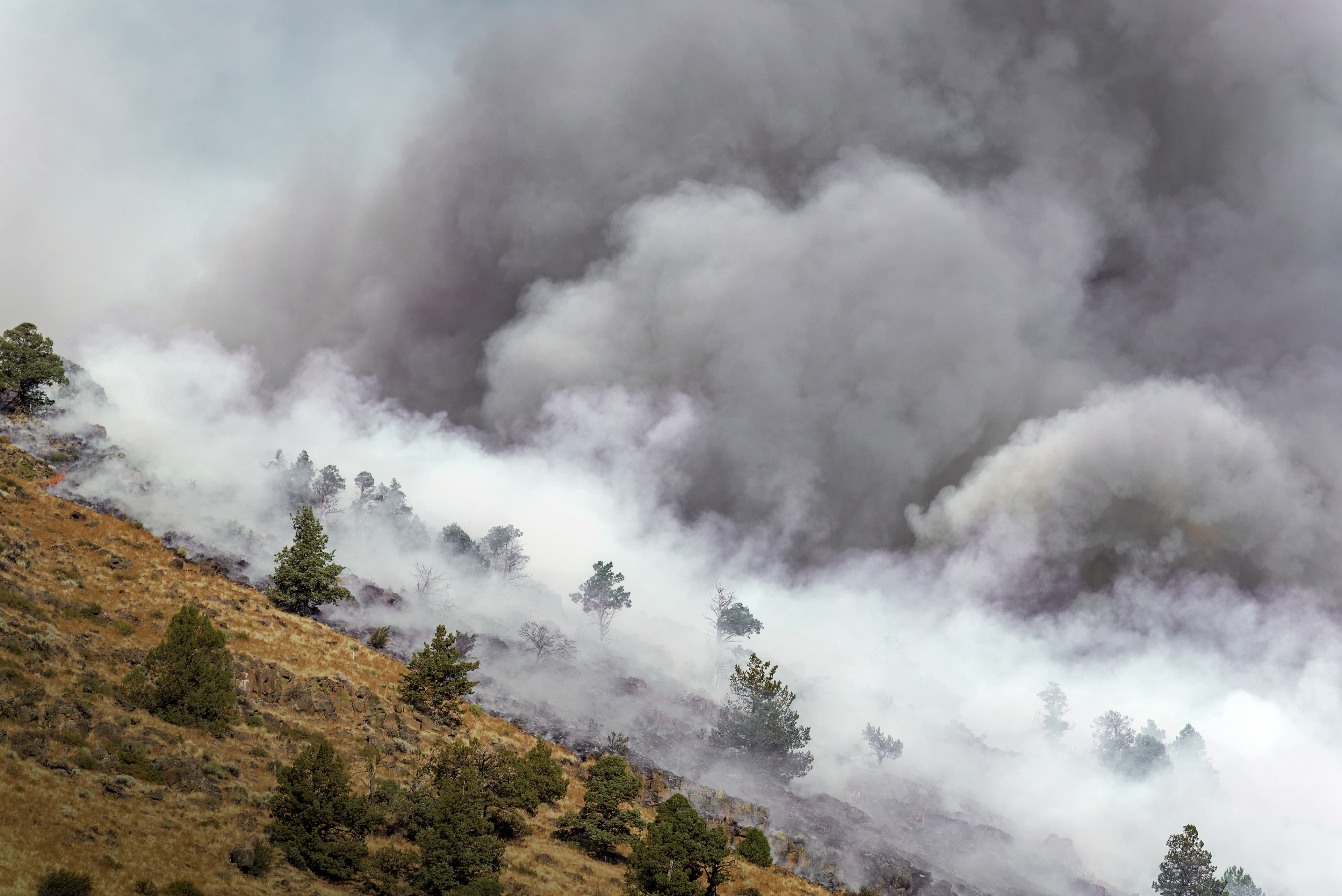 Why Is It So Hazy in Pasco County? The Surprising Link to Canadian Wildfires Explained!