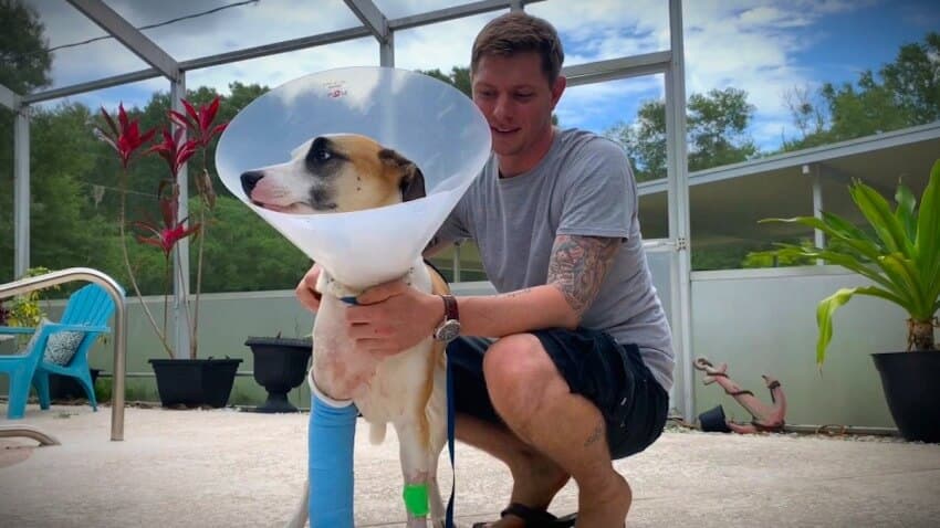 Wesley Chapel Man Makes News by Defending His Dog From Gator…