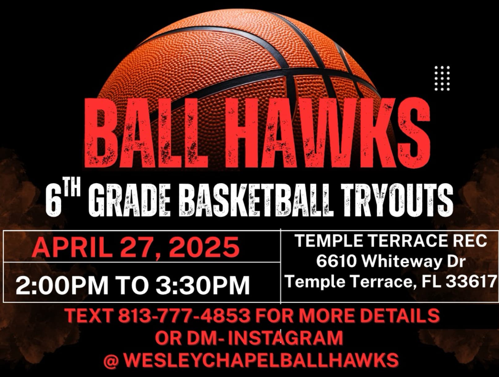 Wesley Chapel Ball Hawks Host Free Basketball Tryouts for Local Youth