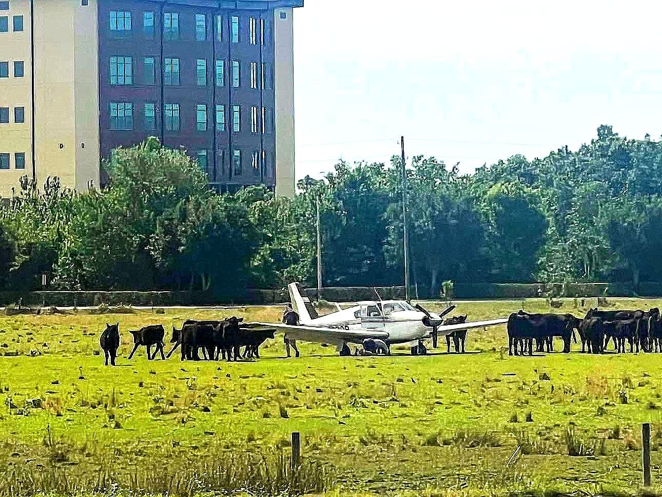 Small Plane Makes Emergency Landing in Wesley Chapel Field; No Injuries Reported