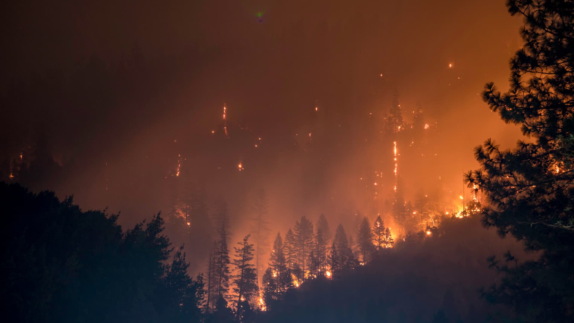 Emergency Burn Ban Issued for Pasco County Due to Dry Conditions and Increased Fire Risk