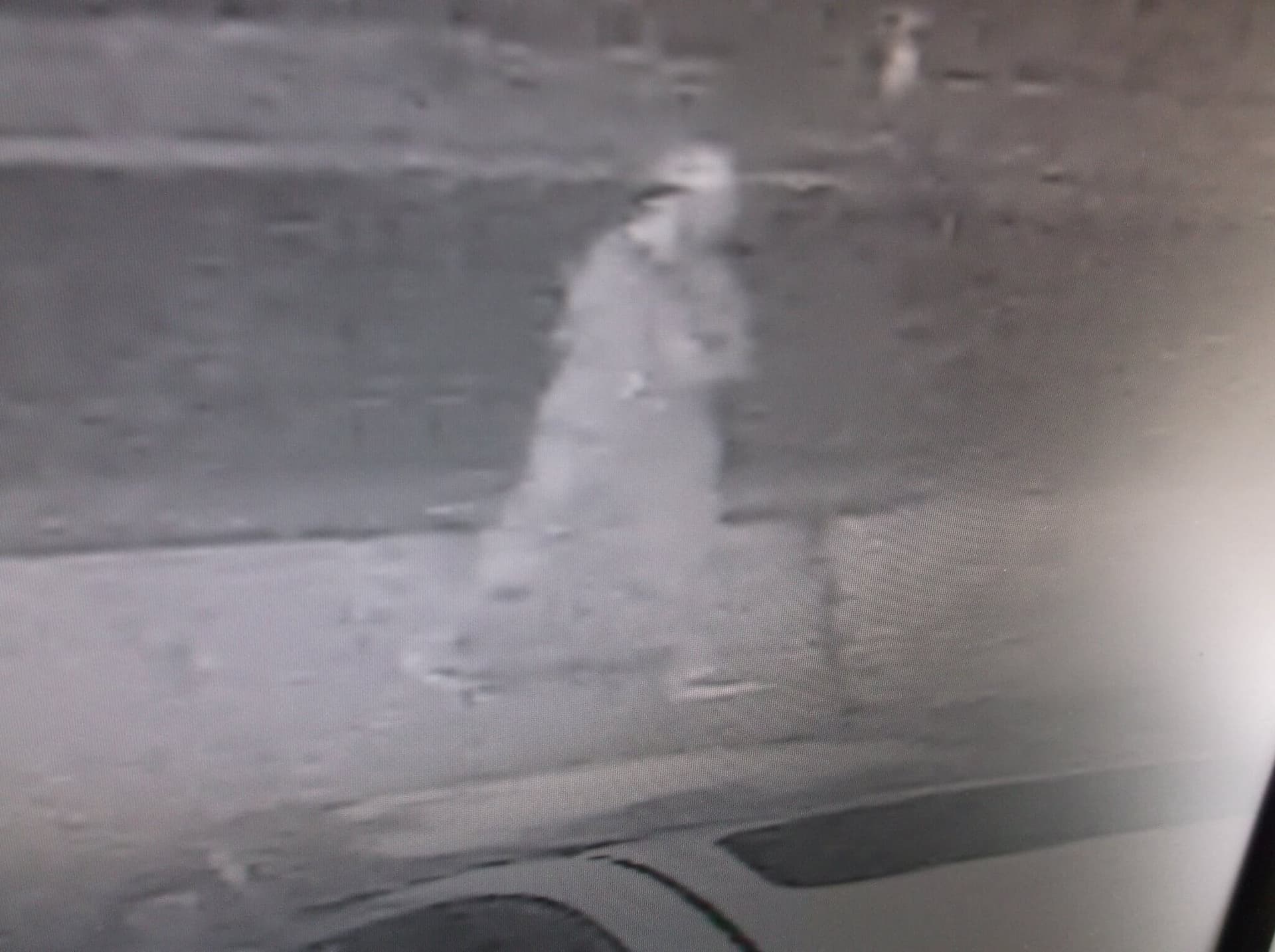 More Unlocked Car Burglaries in Seven Oaks, Wesley Chapel