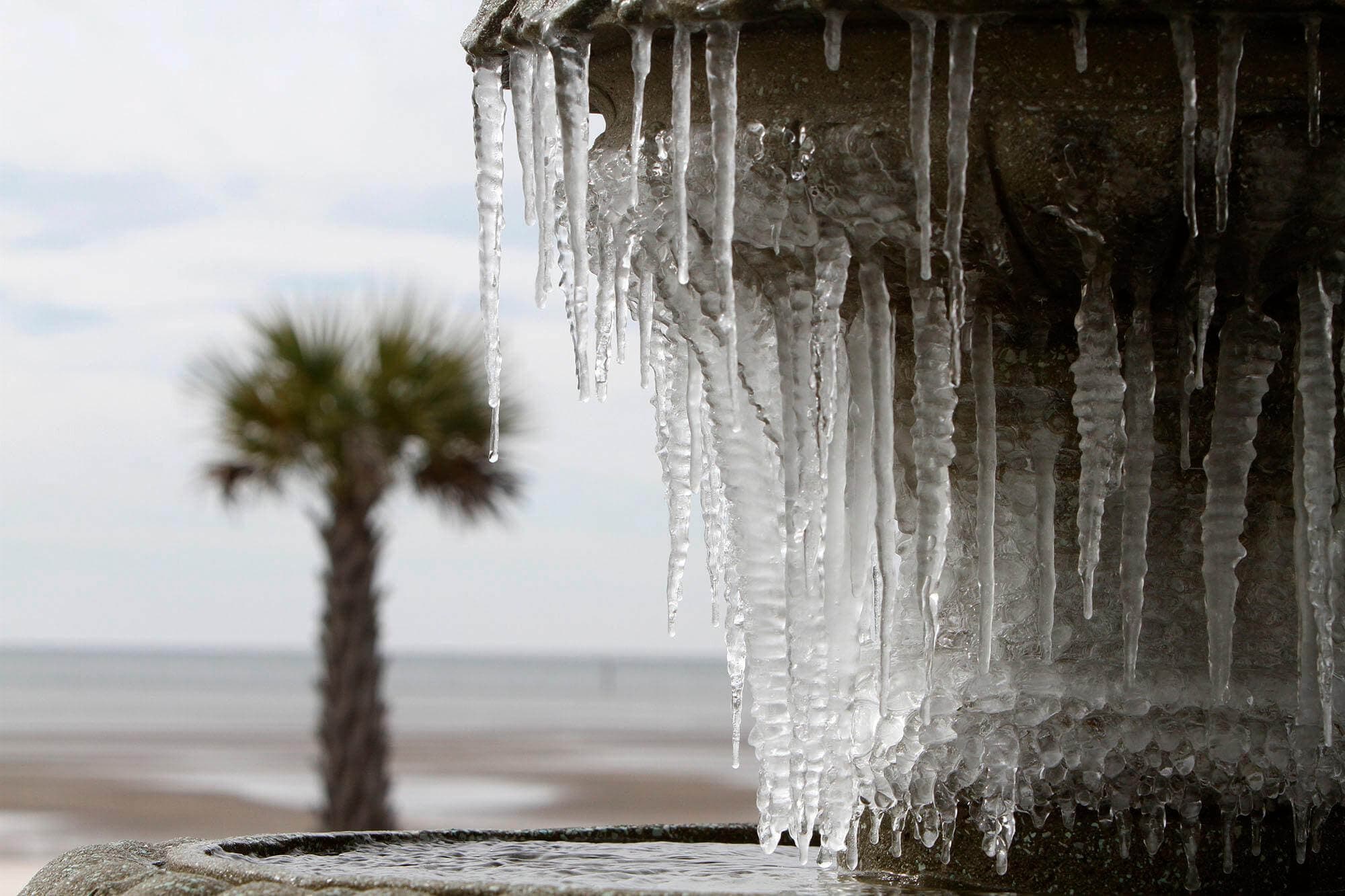 Freezing Cold Forecasted Low Overnight Wednesday the 17th