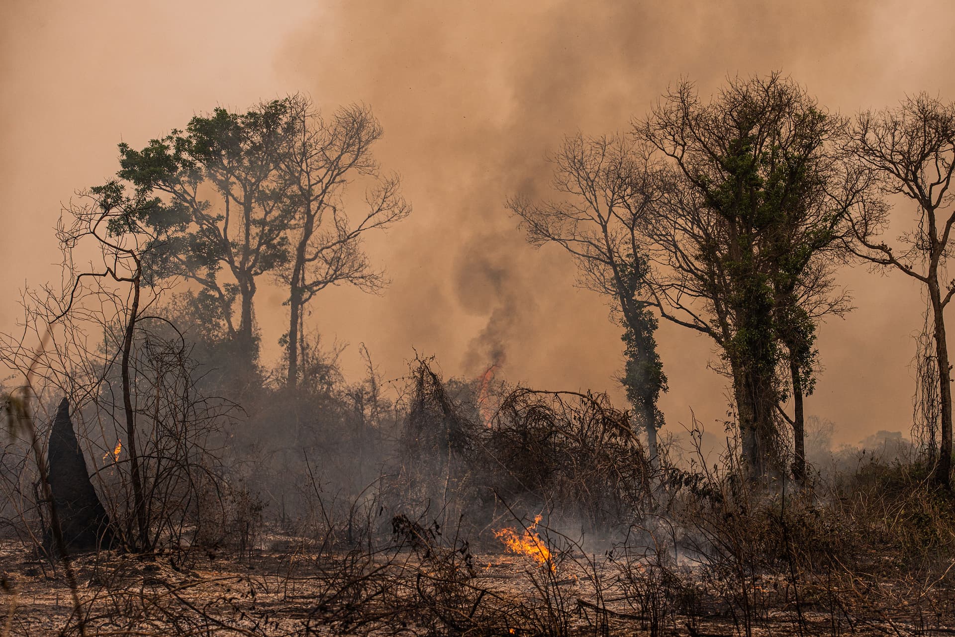 Fire at Green Swamp East Preserve Impacting Wesley Chapel Air Quality