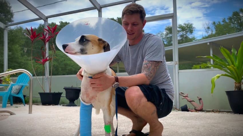 Wesley Chapel Man Makes News by Defending His Dog From Gator...